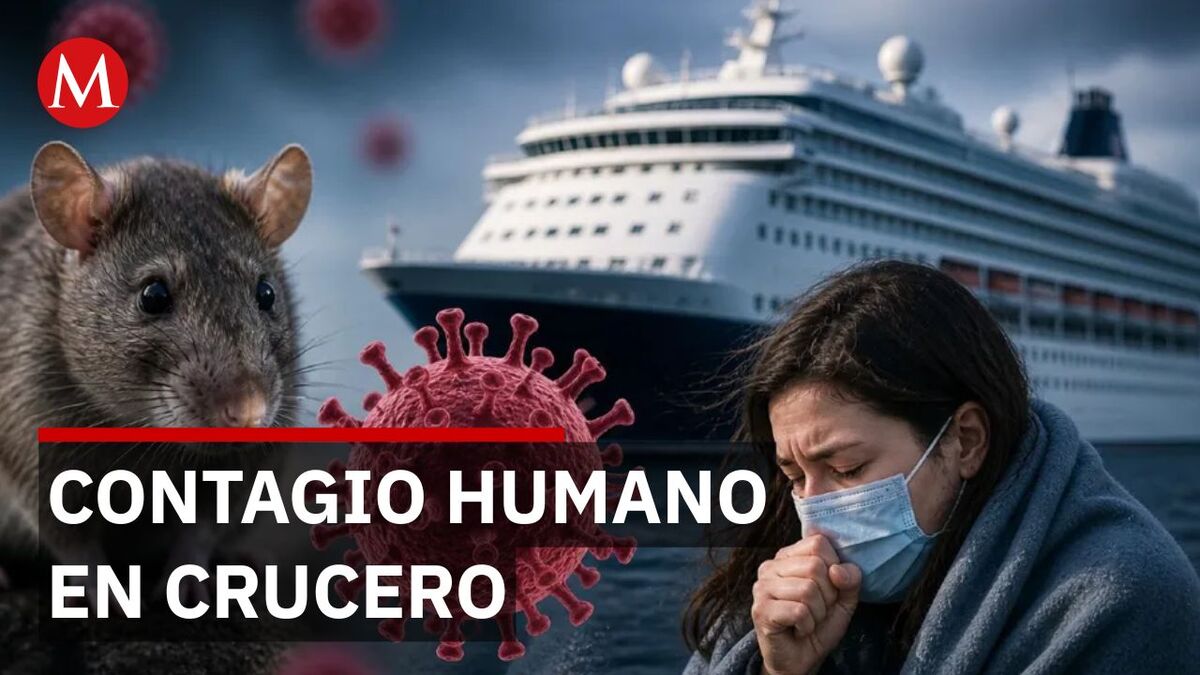 Revelan cómo se propagó el hantavirus dentro del Crucero Internacional Hundidos