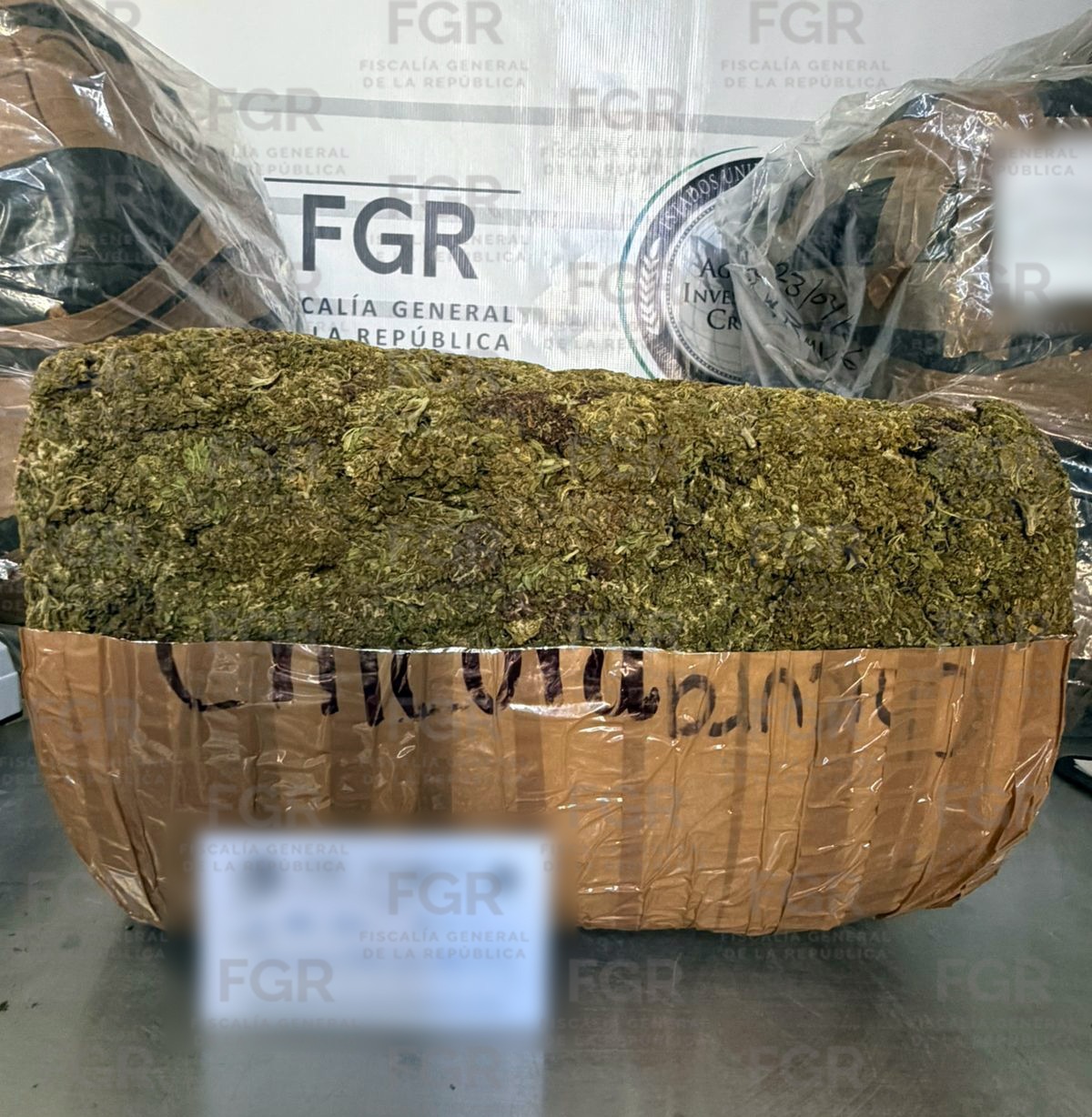 En Coahuila, vinculan a proceso a detenido por posesión de marihuana. | Milenio Policía