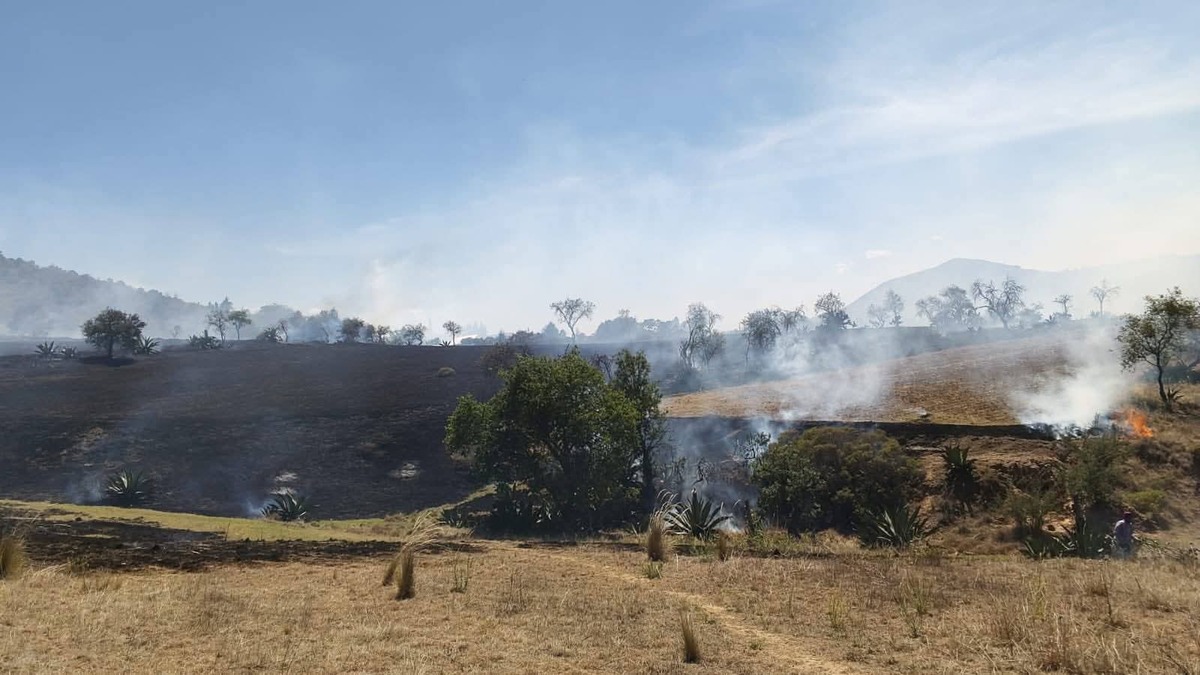 Incendios registrados en Hidalgo durante este año. (Cortesía)