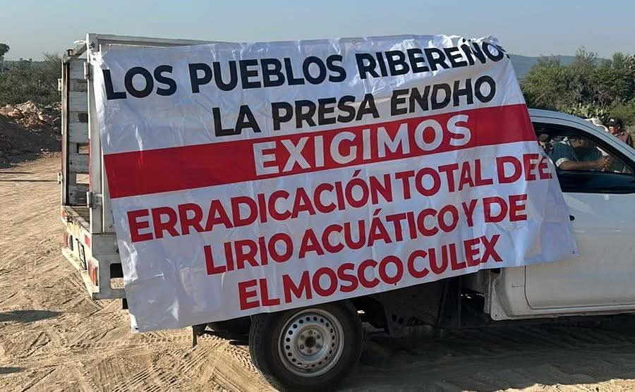 Malestar por plaga de mosco culex provoca bloqueos en Hidalgo