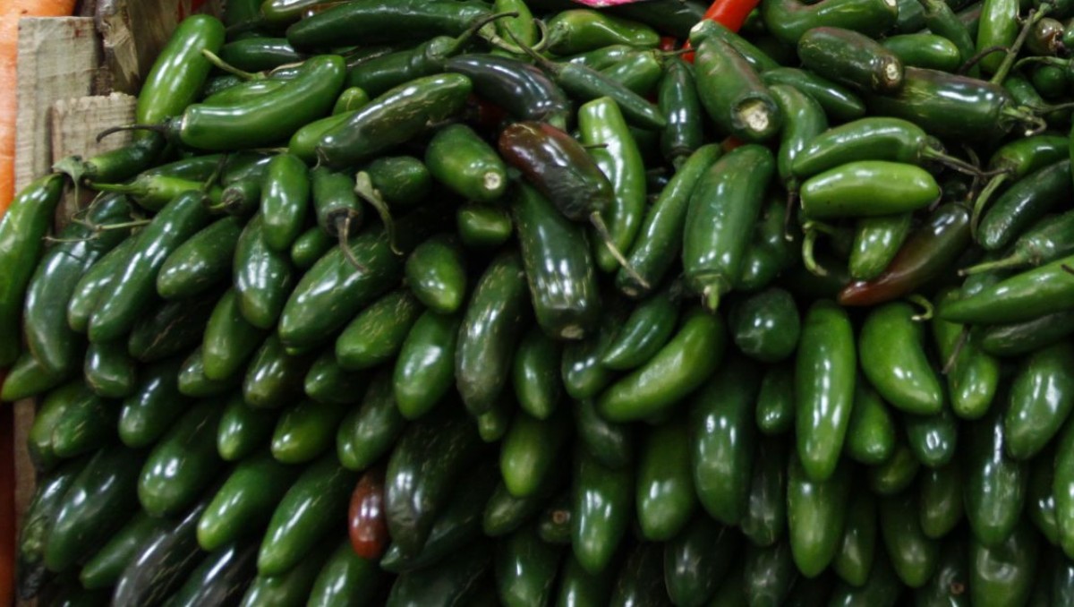 Chile poblano, chile serrano subió y otros chiles frescos fueron los que más subieron de precio en abril. | Foto: Cuartoscuro