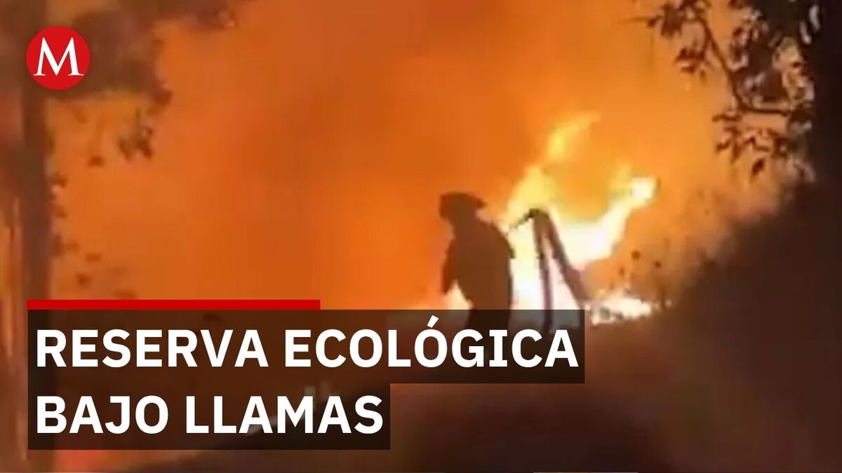 Fuego fuera de control consume reserva natural en el estado de Zacatecas