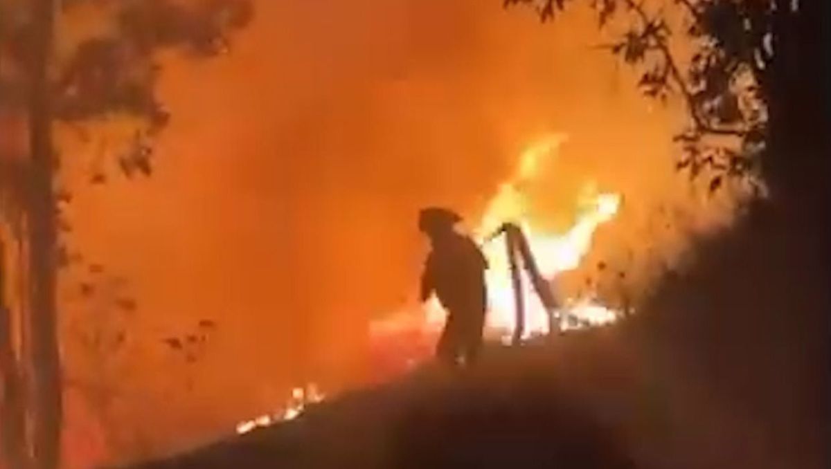 Incendio forestal consumió gran parte del Ecoparque de Zacatecas. | Foto: Especial