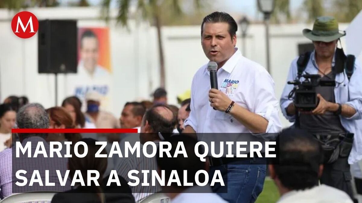 Mario Zamora plantea legalizar amapola para pacificar Sinaloa y producir morfina