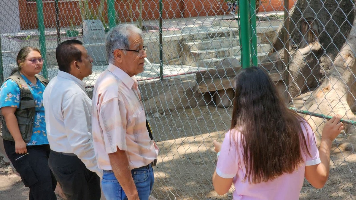 Personal de la Profepa acudió al Zoochilpan tras el reporte de ratas en la jaula de los tigres de Bengala. | Foto: Especial