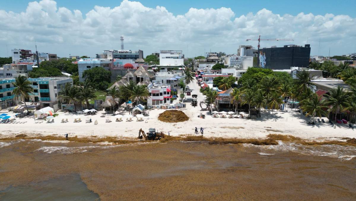 El sargazo afecta a la zona turística de Cancún, Tulum, pero sobre todo a Playa del Carmen. | Foto: Especial