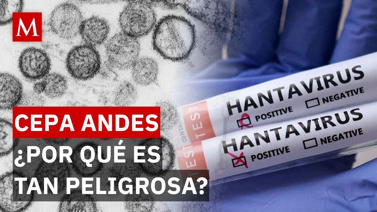 ¿Contagio rápido? Esto es lo que preocupa de la cepa Andes del Hantavirus