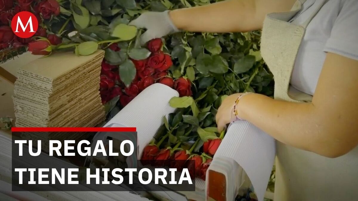De Villa Guerrero a tu casa: El largo viaje de las flores este Día de las Madres