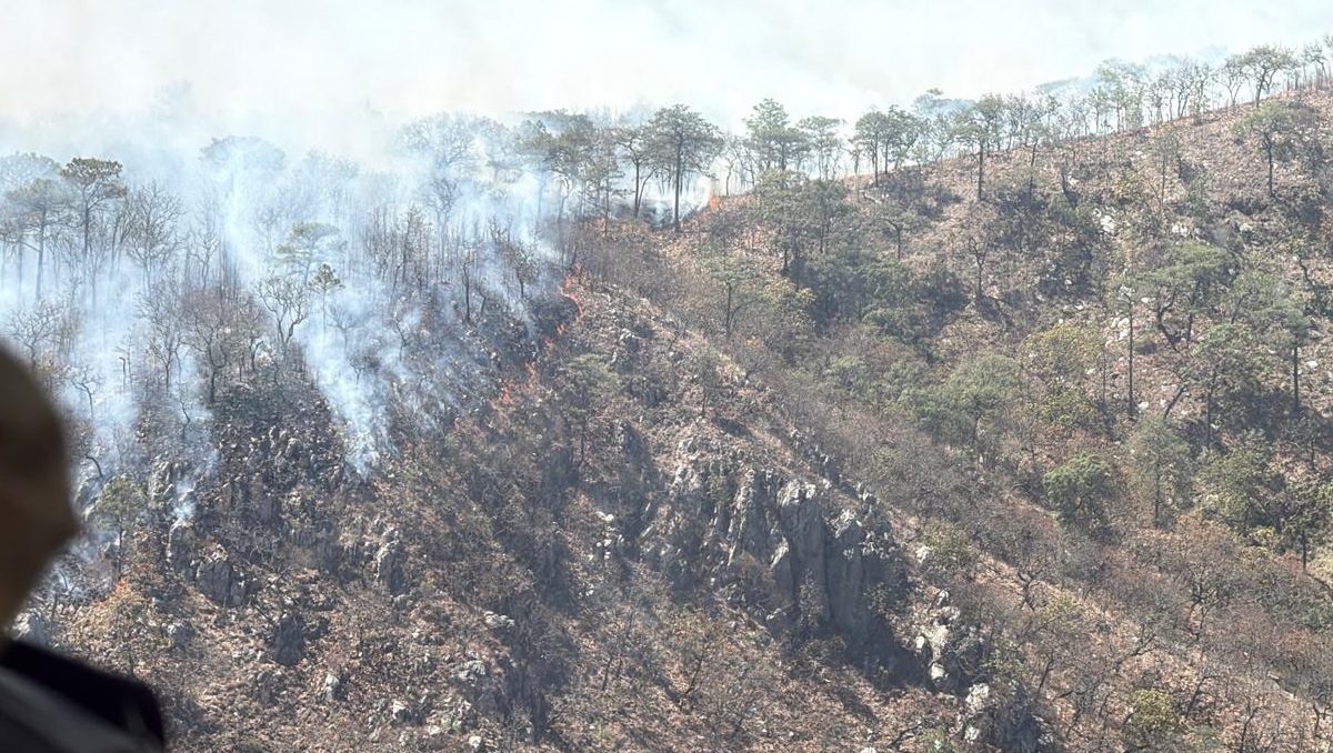 Autoridades sobrevolaron la zona afectada para analizar las medias a tomar para sofocar el incendio (Foto: Cortesía)