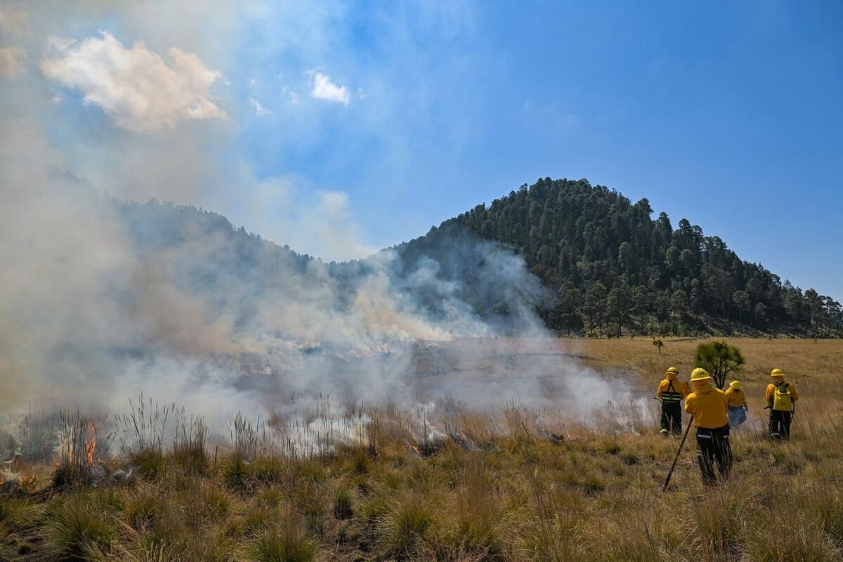 Gobierno del Edomex refuerza prevención de incendios con brigadas forestales femeninas | Cortesía