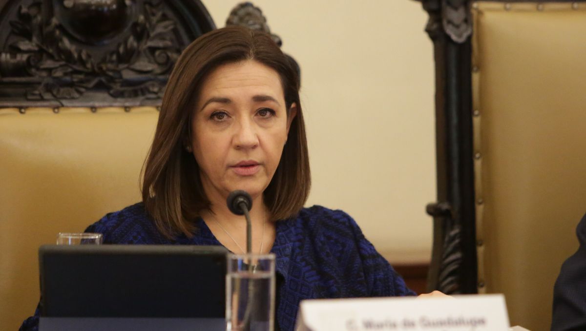 PAN con fisuras internas por presunta promoción anticipada | Agencia EsImagen