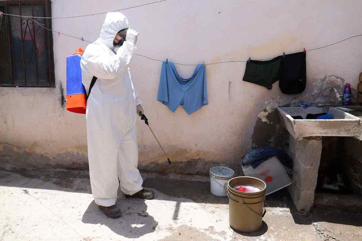 Con acciones de fumigación en Torreón se busca prevenir la fauna nociva | Archivo Rolando Riestra
