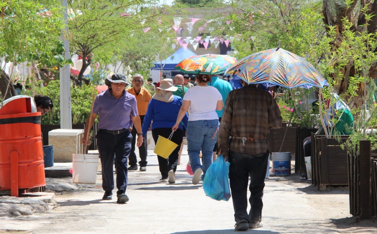 Clima de La Laguna en mayo. | Foto: Roberto Amaya
