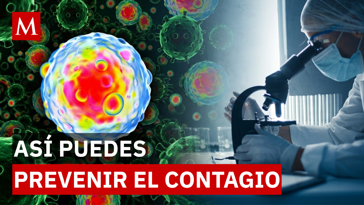 ¿Cómo evitar el Hantavirus?  Guía de los CDC tras brote mortal en crucero