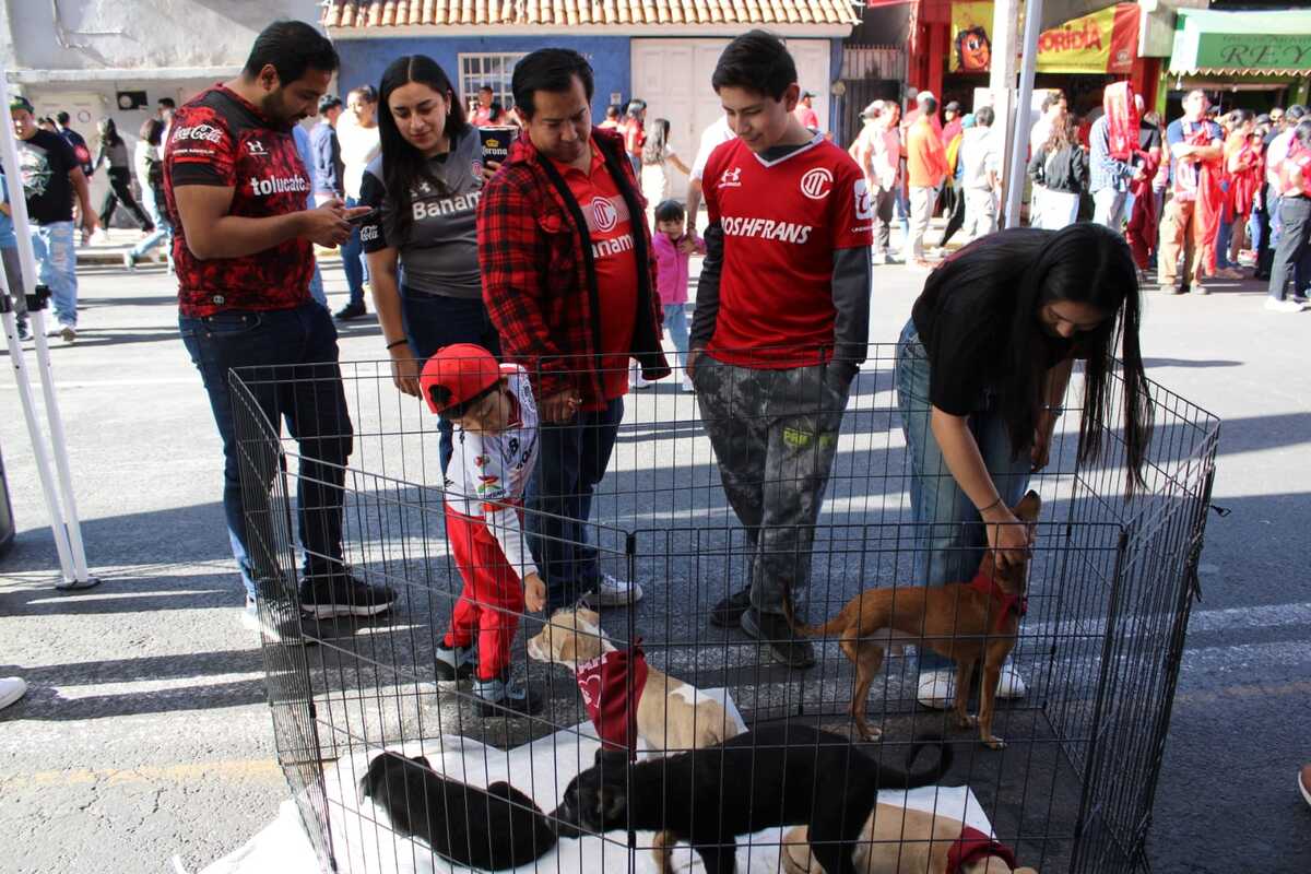 El documento aprobado por el Congreso local también incorpora programas orientados a fomentar la adopción. | Especial