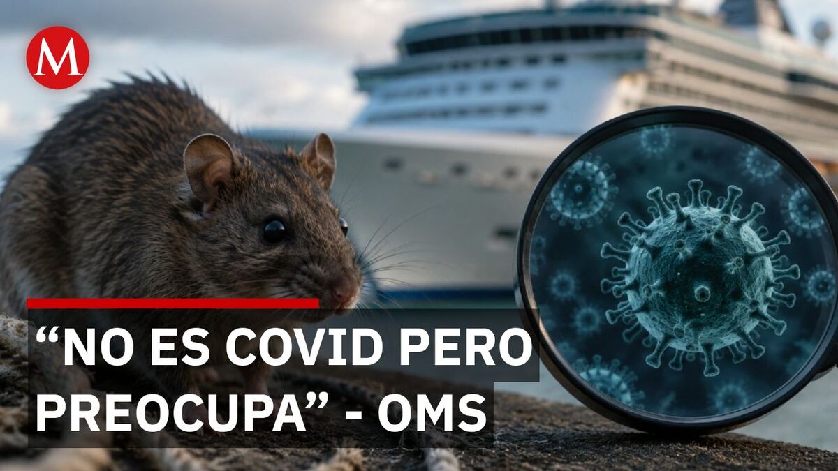OMS explica qué es el hantavirus y cómo se transmite