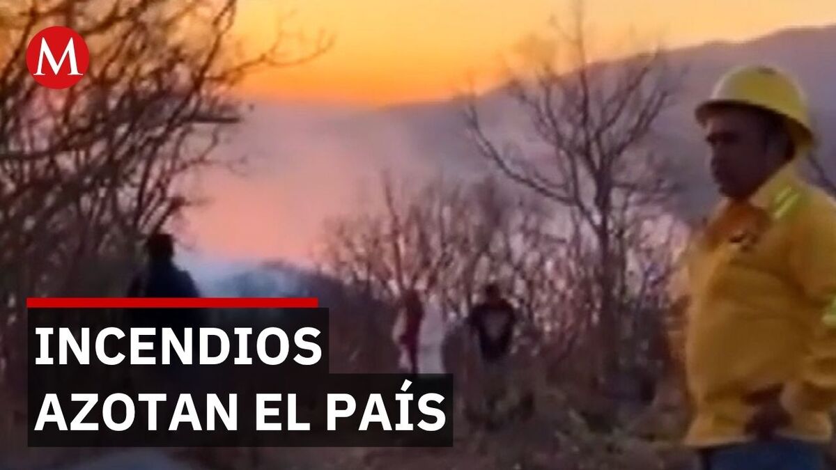 Alerta nacional por 35 incendios forestales activos en 15 estados del país