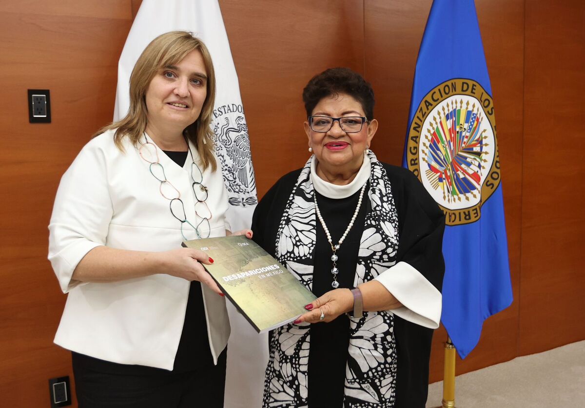 Andrea Pochak puso a disposición de la FGR las capacidades y la experiencia técnica de la CIDH. | Foto: Especial