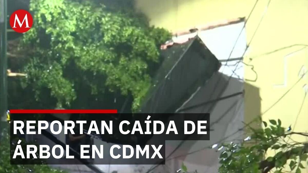 Árbol es derribado por las fuertes lluvias registradas en CdMx