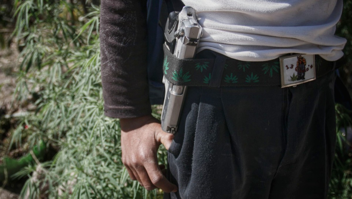 Los Ardillos son una organización criminal que genera violencia en Guerrero. | Foto: Cuartoscuro