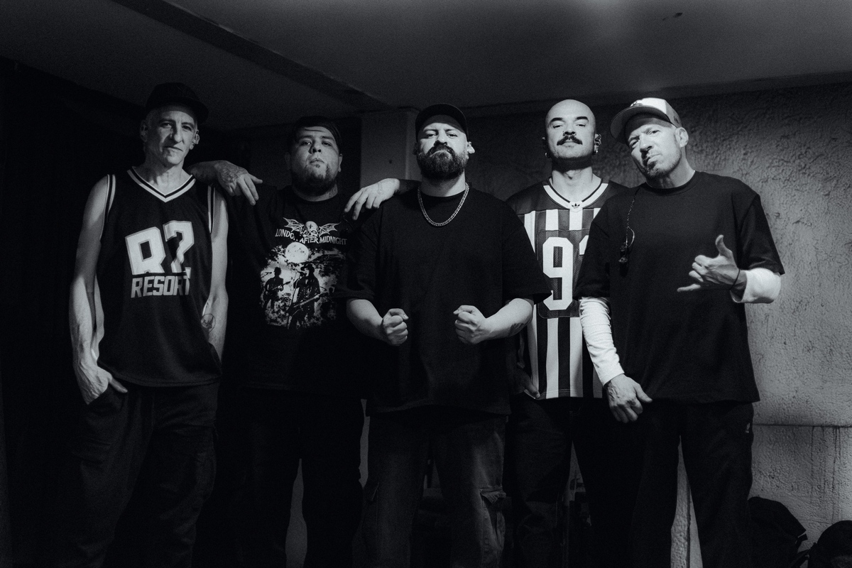 Banda resorte. (resorte-oficial.com)