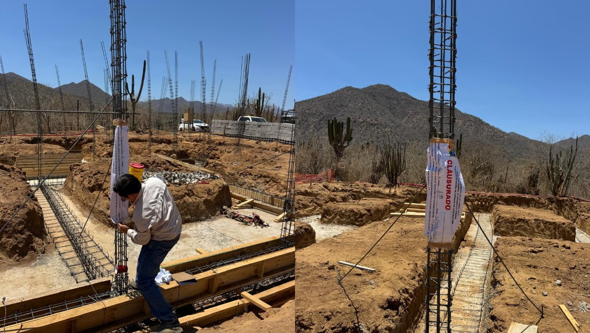 Se espera que en los próximos días la Profepa realice su propia inspección. | Foto: Especial