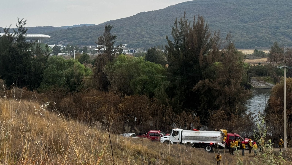 El incendio del pastizal causó alerta pues se registró en los alrededores del Estadio Guadalajara (Foto: Usi Toledo)
