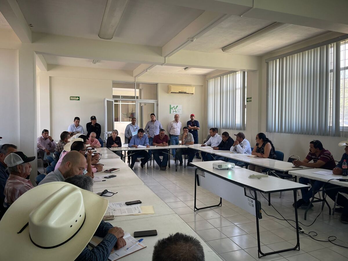 Acuerda Comité Hidráulico apertura de compuertas y continuar ciclo agrícola. (Luis Alatorre)