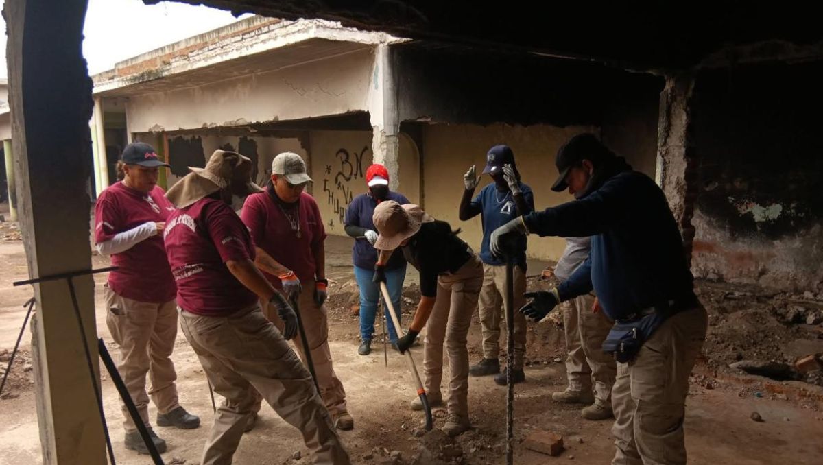 Colectivo Hasta Encontrarte ha localizado 12 cuerpos en 2026