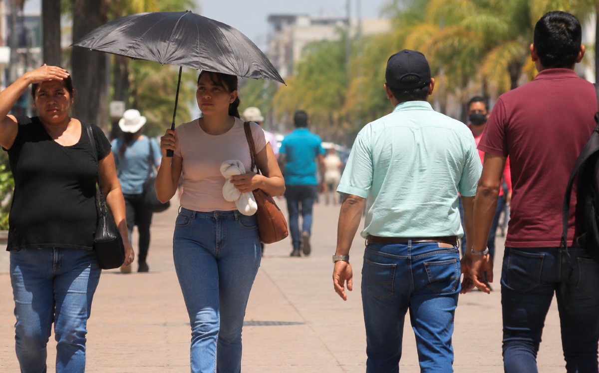 Pronóstico de clima jueves 14 de mayo en Tamaulipas| ia