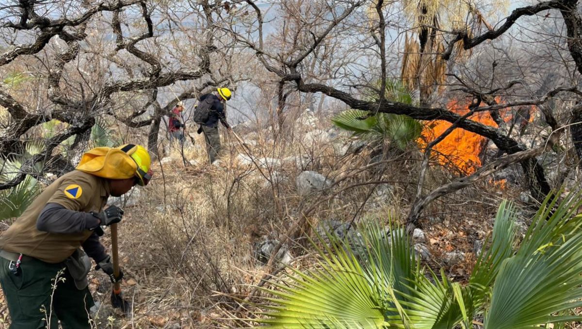 Sofocan incendio forestal en Cohetzala | Especial