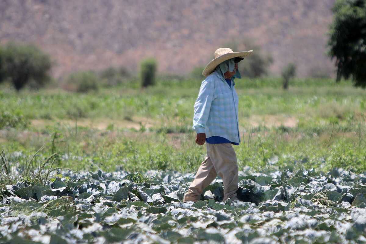 Te decimos cuál el pronóstico del tiempo para Torreón, Saltillo, Coahuila y Durango este viernes 15 de mayo por condición climática.| Rolando Riestra.
