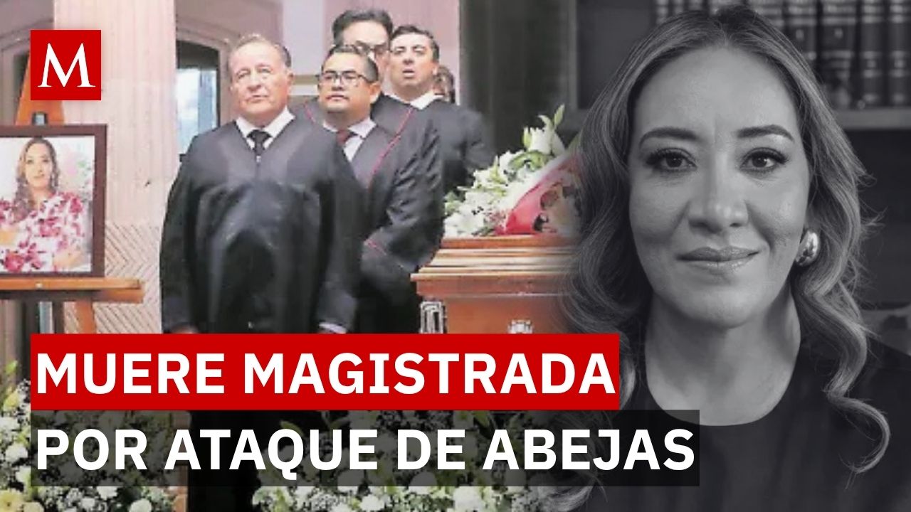Fallece magistrada por ataque de abejas: ¿quién era Oyuki Ramírez Burciaga?