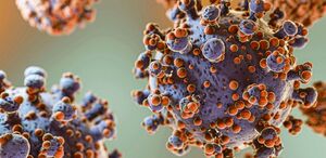¿Qué tan peligroso es el brote de hantavirus detectado en un crucero? Expertos de la UNAM analizan el riesgo de epidemia, síntomas y prevención.