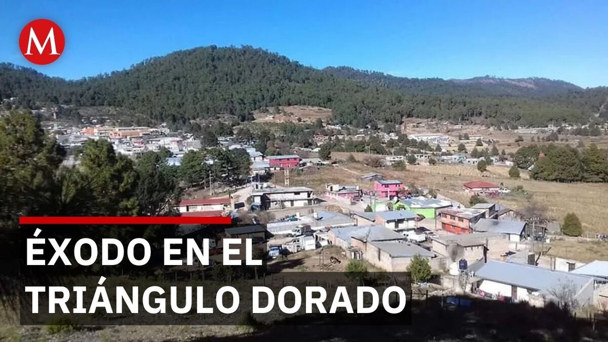 ¿Por qué las familias están huyendo de Tamazula en Durango?