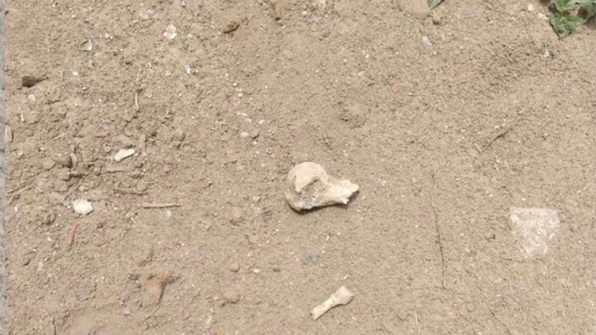 Durante el recorrido por el panteón detectaron áreas con tierra removida.