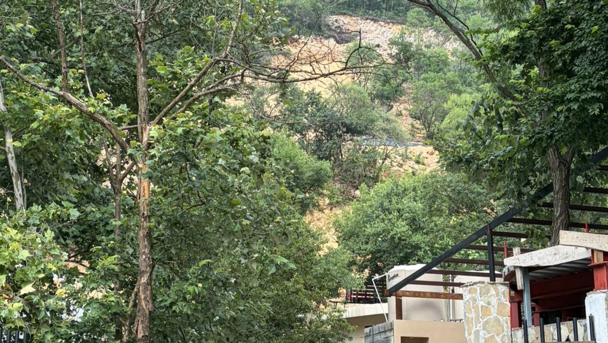 Las autoridades municipales impusieron sellos de clausura en la zona de la Cola de Caballo deforestada. Gabriela Garza