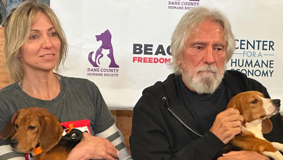 El bajista de la banda acudió a un refugio junto a la estrella pop Debbie Gibson. | AP