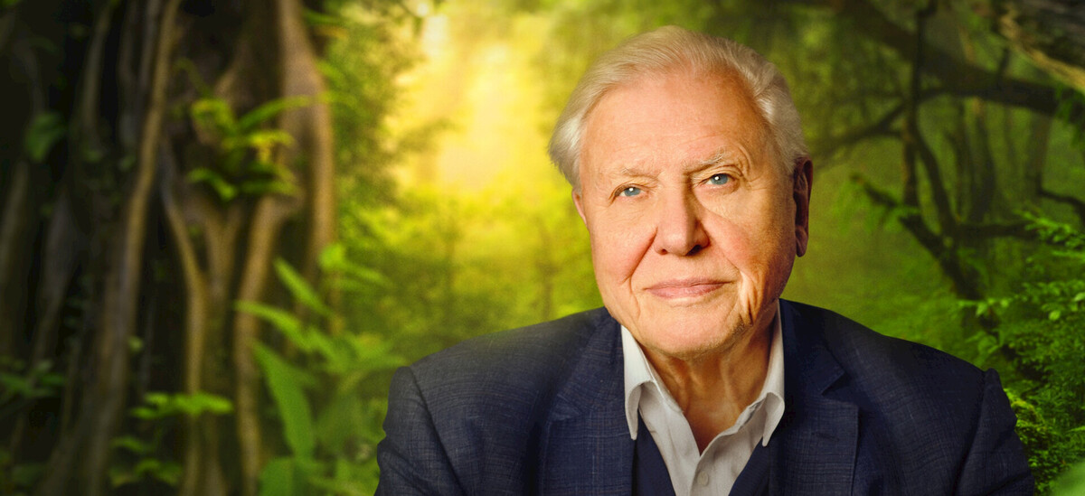 David Attenborough, divulgador naturalista británico. (Netflix)