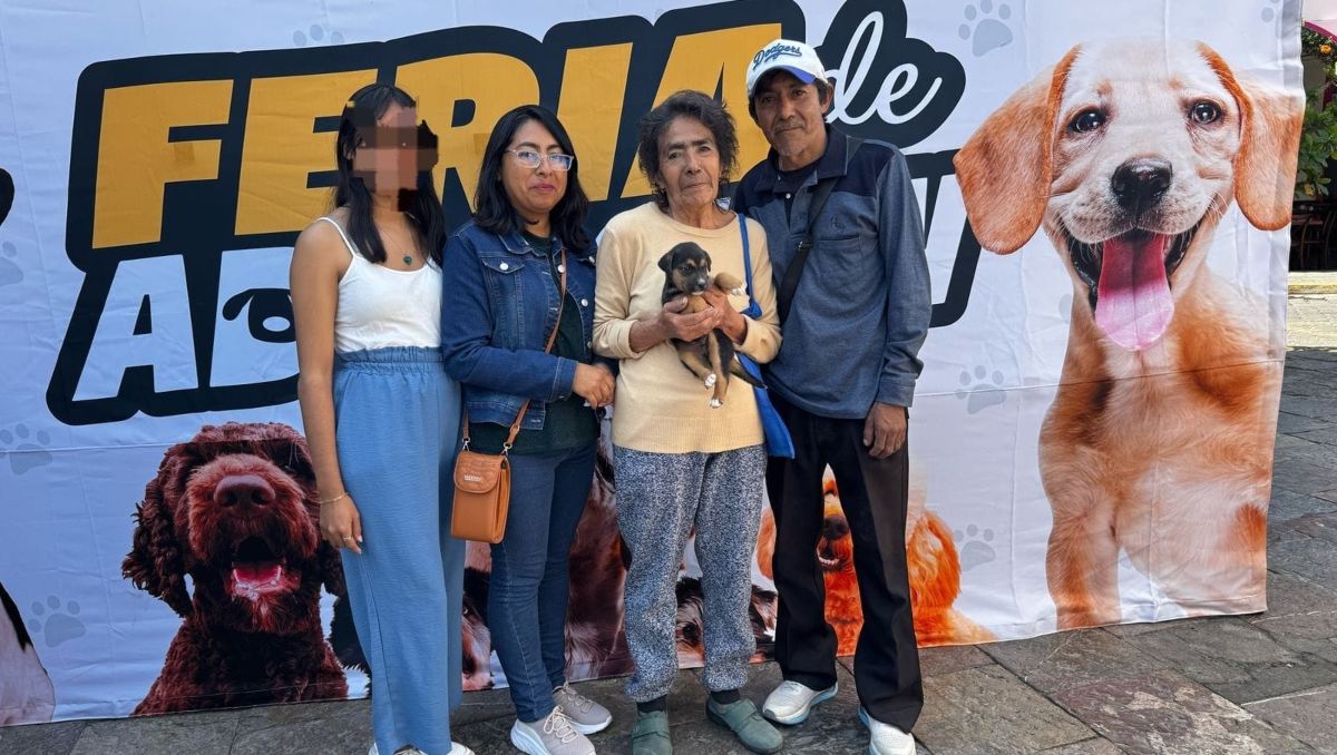Feria de la Adopción en Atlixco | Especial