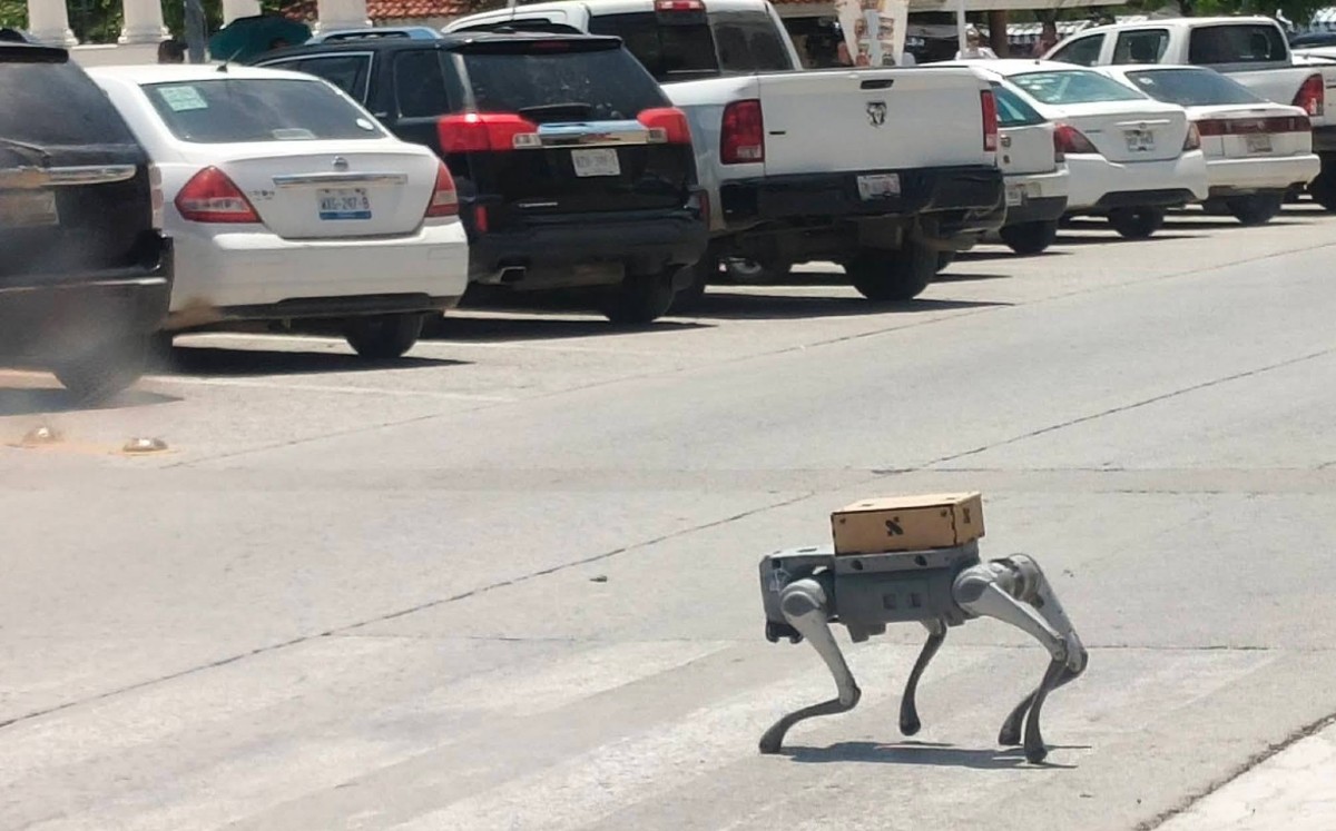 Robot cuadrúpedo es captado en El Mante, Tamaulipas. | Redes