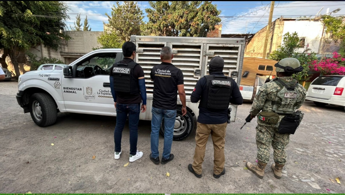 El dueño del Pastor Belga que fue resactado intentó sobornar a los oficiales que acudieron al operativo