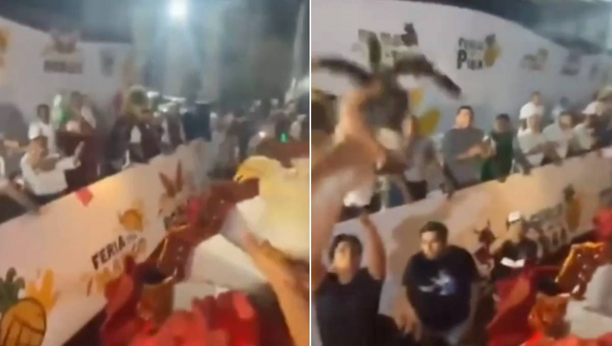 Lanzan pollos durante el carnaval de Paso del Toro en Medellín de Bravo. | Foto: Especial