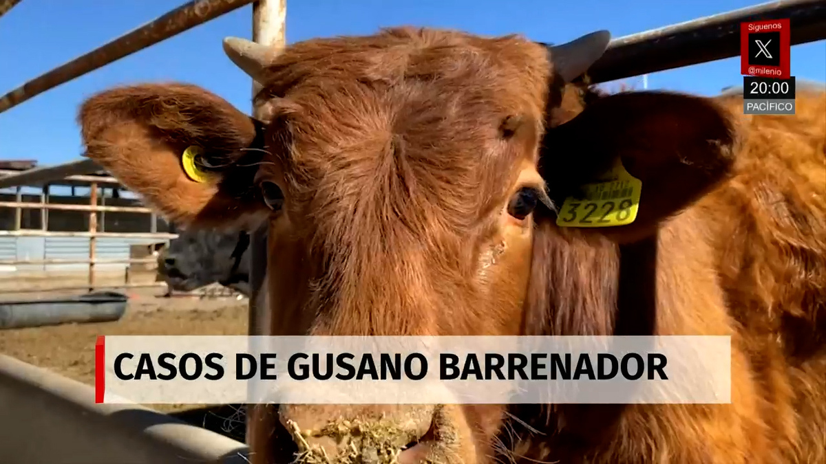 Milenio Noticias, 16 de mayo de 2026
