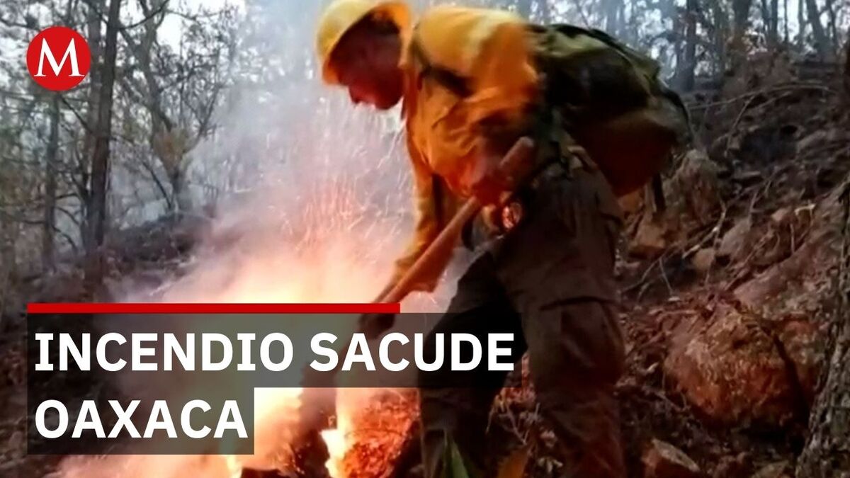 Incendio forestal afecta 178 hectáreas en Valles Centrales y Sierra Sur de Oaxaca