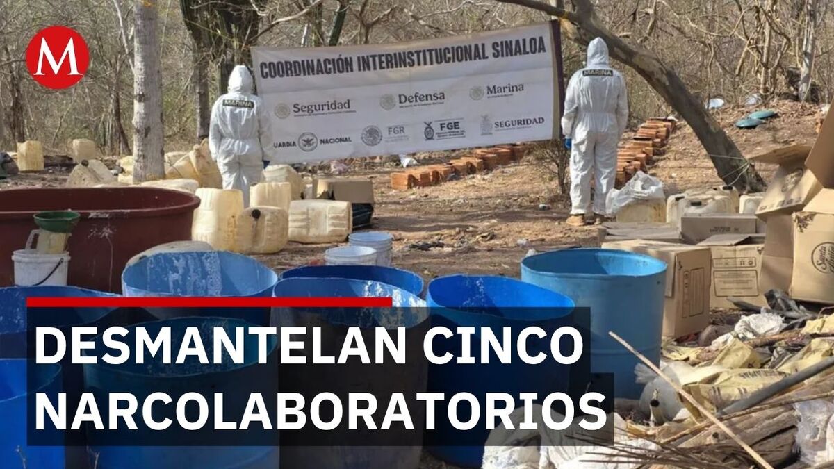 La Marina desmantela centros operativos de 'El Jardinero' en distintos estados