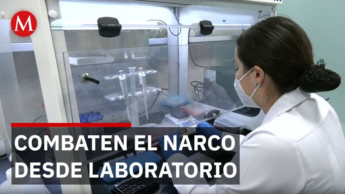Así combate la Marina a los químicos del narco en México