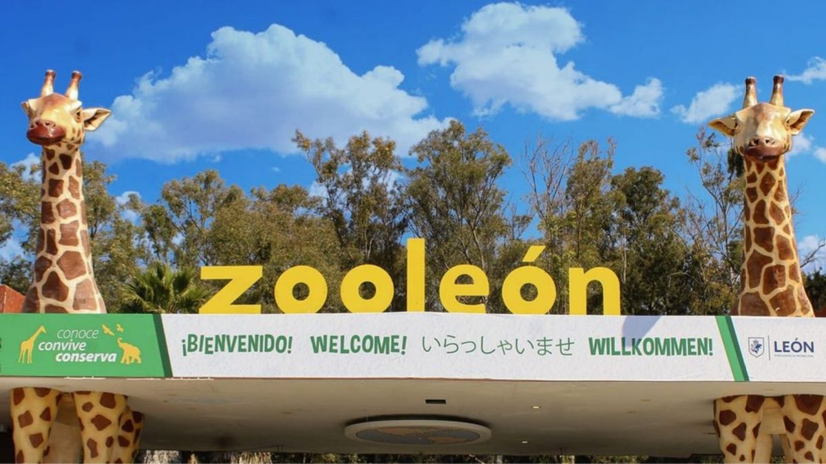 Diana Karen Casillas Casillas propone plan anual para solucionar los problemas urgentes del Zoológico de León