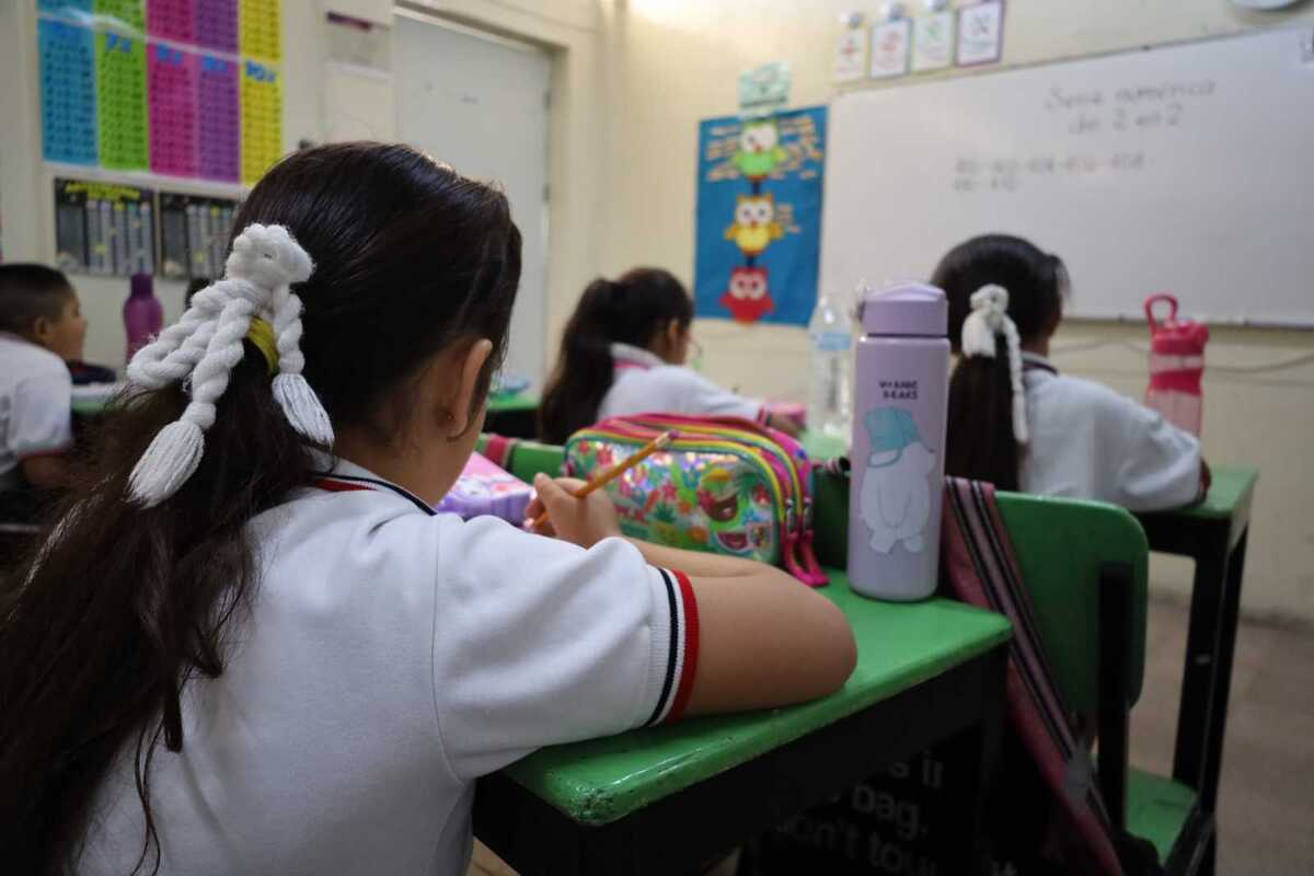 Especialistas advierten deficiencias en Matemáticas y lectura, cuestionan el nuevo modelo educativo y alertan sobre el impacto de la baja exigencia.