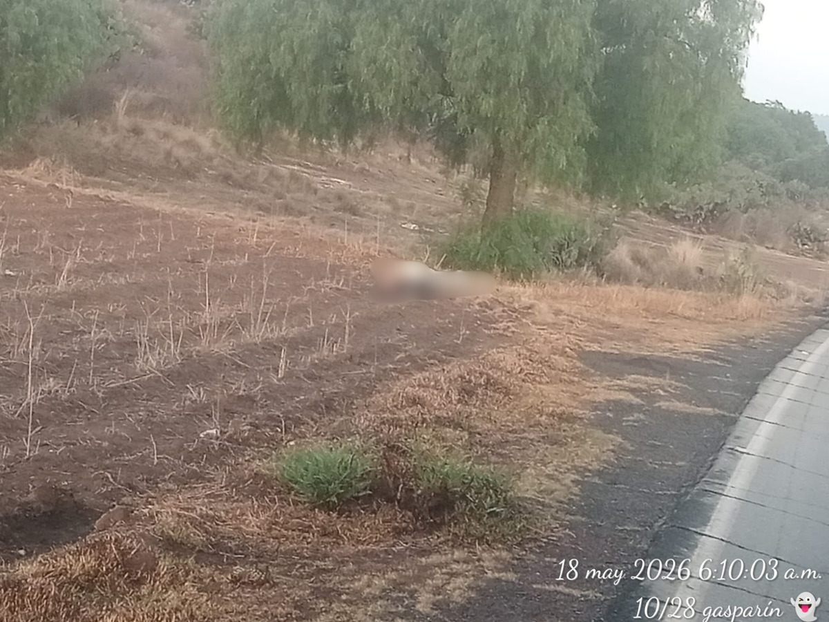 Hallan cuatro ejecutados en dos hechos distintos ocurridos en Hidalgo.